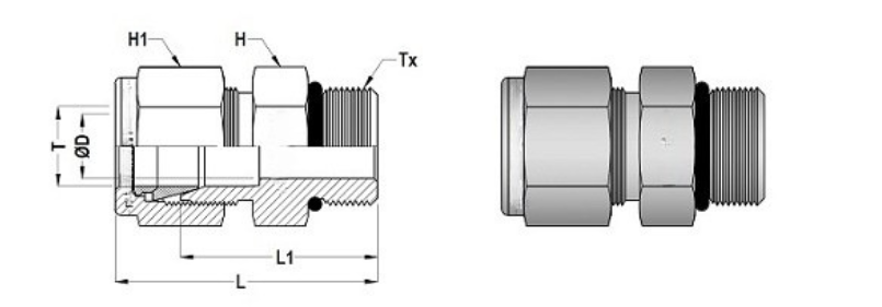 Male Connector Dimensions